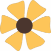 image of a flower with six yellow petals and a brown center